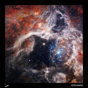 Jeronimoh - Cosmic Shepherd