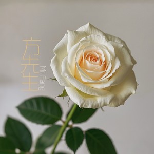 方先生
