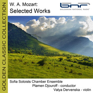 Symphony No. 2 in D Major, KV 19 - I. Allegro (D大调第2号交响曲，作品19 - 第一乐章 快板)