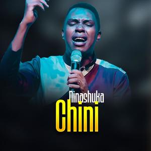 Ninashuka chini