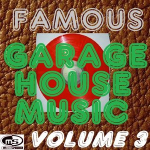 Famous Garage House Music, Vol. 3 (DJ Megamix)