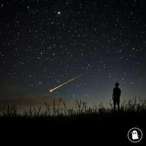 Sleepless Stars