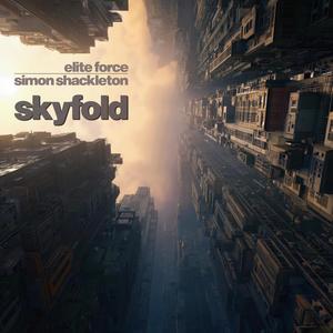 Skyfold (Simon Shackleton Remix - Single Edit)