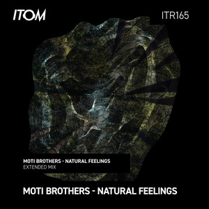 Natural Feelings (Extended Mix)