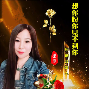 想你盼你见不到你
