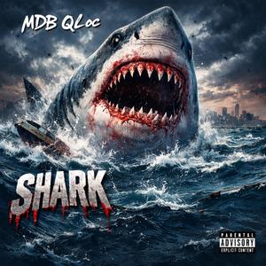 Shark (Explicit)