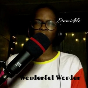 Wonderful Wonder