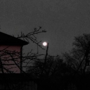 Träne für dich (Explicit)