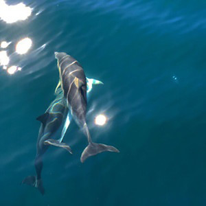 少一点天分 (Single Version)