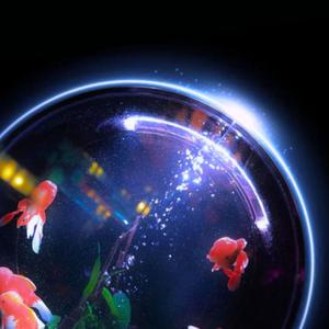 Shine Through Fishbowl