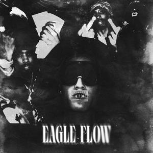 EAGLE FLOW (Explicit)