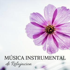 Música Instrumental de Relajacion