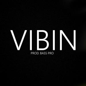 VIBIN (Explicit)