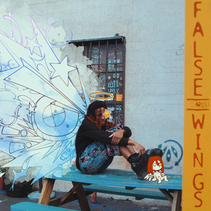 FALSE WINGS (ICARUS) (Explicit)