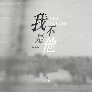 我不是他 (DJ阿卓版)封面
