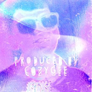 CozyLife 2 (Explicit)