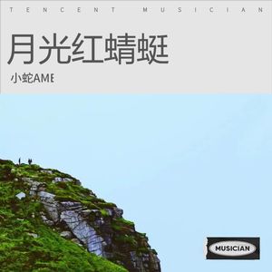 2005月光闪耀封面