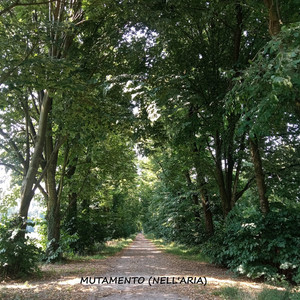 MUTAMENTO (NELL'ARIA)
