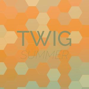 Twig Summer