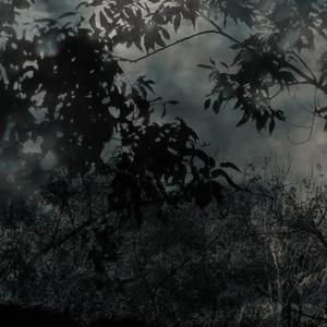 insta (feat. Zawg) (Explicit)