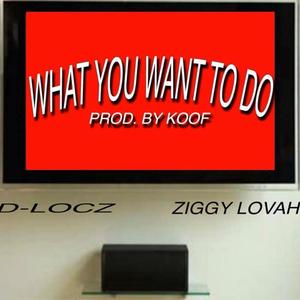 What You Wanna Do (feat. Ziggy Lovah) [Explicit]