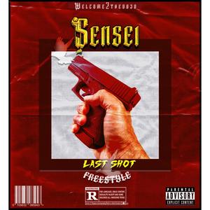 Last shot (FREESTYLE) [Explicit]