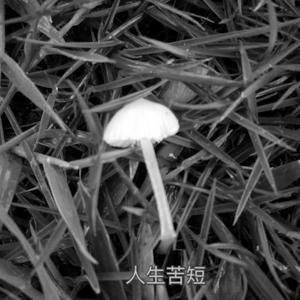 Mobb Deep-人生苦短 (CA$H M remix)