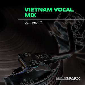 Vietnam Vocal Mix Volume 7