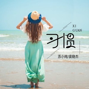 习惯
