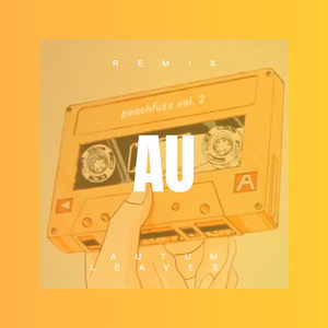 孤独的人最懂伤感情歌