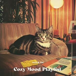 Cozy Mood Playlist #6 | Sofa & Cat 소파와 고양이 아홉