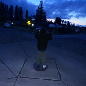 FALL DOWN (Explicit)