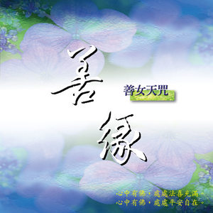 善缘 (演唱版)