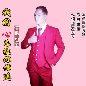 我的心已被你伤透 (男版)