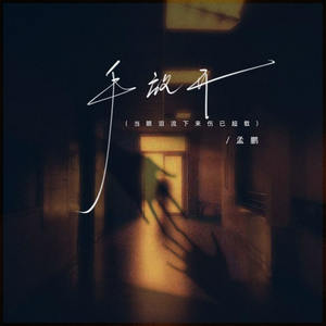 孟鹏 - 手放开 (当眼泪流下来伤已超载)
