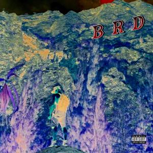 BRD (Explicit)