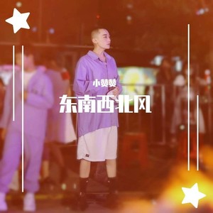 东南西北风 (Live)