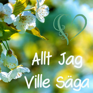 Allt jag ville säga (feat. Peter Mörlin)