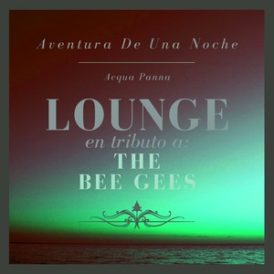 Aventura De Una Noche: Lounge En Tributo a the Bee Gees