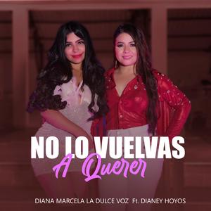 No Lo Vuelvas A Querer (feat. Dianey Hoyos)