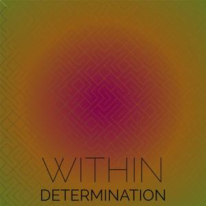 Within Determination