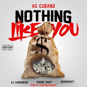 Nothing Like You (feat. Dj Habanero, Young Dant & Beenhadit) [Explicit]