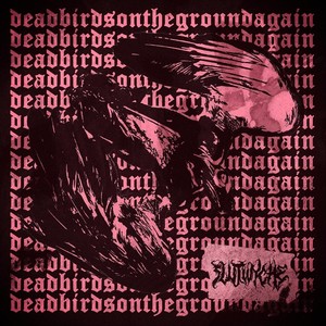 Dead Birds (Explicit)