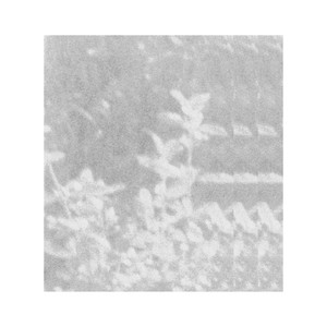 nothing is more real (feat. Troth)