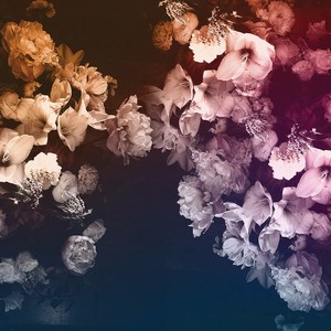 Finity (Original Mix)