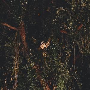 everynight (Explicit)