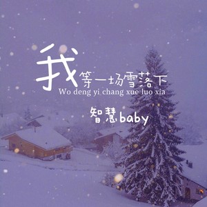 我等一场雪落下