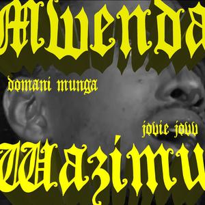 Mwenda Wazimu (feat. Jovie Jovv) [Explicit]