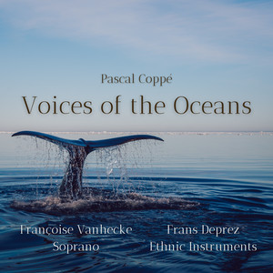 Shipwrecks Exploration