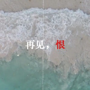再见了，我以恨意为燃料的人生...封面
